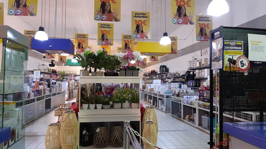 Tiendas Mgi Ciudad Real
