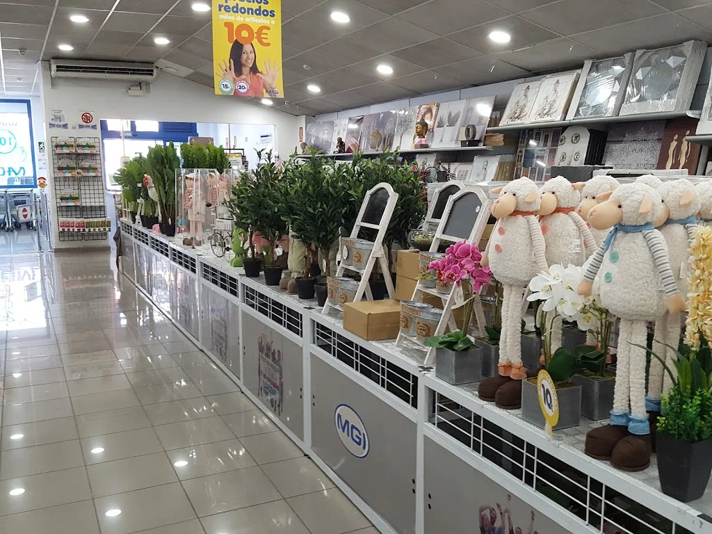 Foto 3 de Tiendas Mgi Tenerife Sur